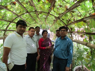 Organic plant visit by 20 district NGO