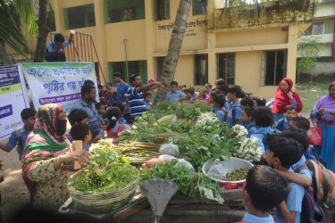 Uncultivated Plant displayed in front of students