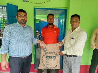 Environmental Sustainability