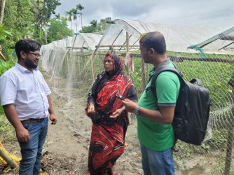 Environmental Sustainability